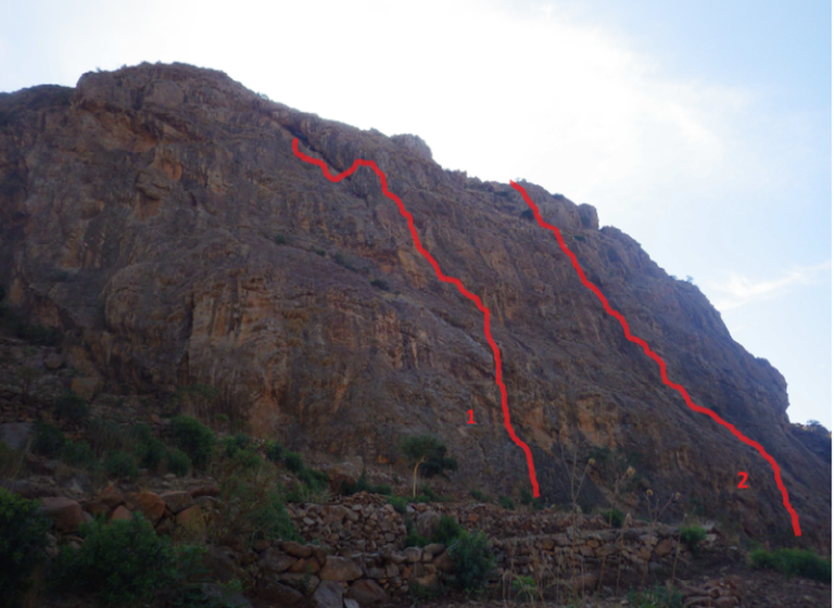 114512297_medium_1529774704