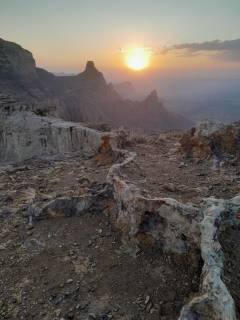 eec98136-44af-4bff-b867-ec2dc97a8fbd