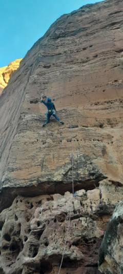 68e175cb-84d2-4c63-a4dd-2dfa90440cfa