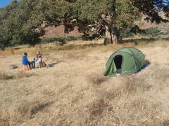 3e52b87b-4bdb-4467-aac1-0e7f01d0ffaa